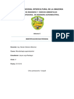 Informe Bacterias Por Tincion Gram + y