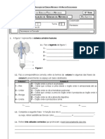 Sistema Excretor+plantas 2005 - 06