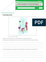 Alimentos Cuerpo Humano Grado 8