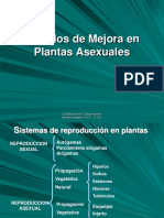 Mejoramiento Genetico en Plantas Asexuales