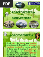 Agroforesteria y Biodiversidad - Jpetit