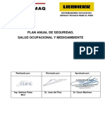 Plan Anual de Seguridad PDF