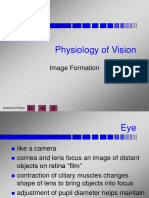 Physiology of Vision