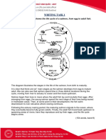 30 Sample Essays Band 9 IELTS of Simon