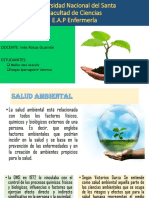 Salud Ambiental