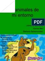 Los Animales de Mi Entorno