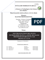 Neutralisation Des Puits Petroliers Dans La Zone de Hassi Messoud Etude D'un Cas Okni3 Et GT34