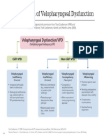 Classification of Velopharyngeal Dysfunction