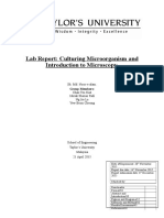 Lab Report (Microbiology)