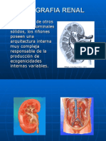 Ecografia Renal