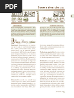 Bursera Simaruba PDF