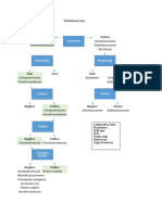 Dichotomous Key