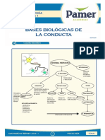 Psicología PAMER ORGANIZADORES