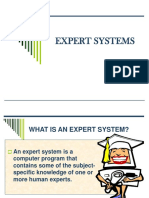 Expert System