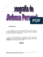 Monografia de Defensa Personal