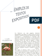 Textos Expositivos