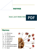 Cranial Nerves: Assoc. Prof. Stefan Sivkov, MD, PHD