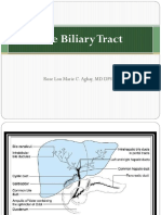 7 - The Biliary Tract