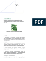 Fotossíntese - o Que É, Processo, Resumo