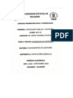 Evidencias de Auditoria, Programas de Auditoria y Papeles de Trabajo