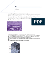 Histology of The Eye