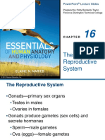 The Reproductive System: Powerpoint Lecture Slides