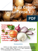 Cebola