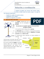 Tema 2-Relaci N y Coordinaci N