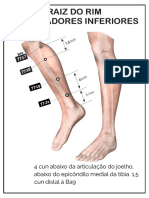 Pontos de Tung Tratamento Raiz