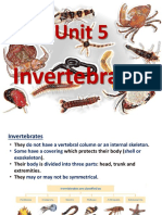 Unit 5 Invertebrates