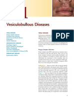 Cap 1vesiculobullous Diseases