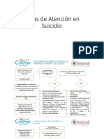 Ruta Atencion Intentos Suicidio PDF