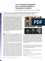 Mutations in The Very Low-Density Lipoprotein Receptor VLDLR Cause Cerebellar Hypoplasia and Quadrupedal Locomotion in Humans