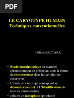 Caryotype TK Et Indications