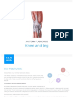 Anatomy Lower Limb