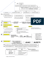 Algoritmos Del Shock PDF