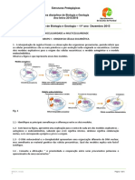 Ficha de Trabalho de Biologia e Geologia 11º Ano Dezembro 2015