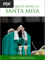 Papa Francisco Catequesis Santa Misa