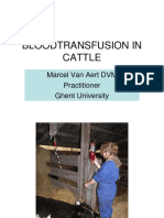 Bloodtransfusion in Cattle: Marcel Van Aert DVM Practitioner Ghent University