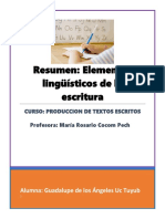 Resumen - Elementos Linguisticos de La Escritura