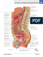 PG 0357