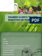 Examen Clínico de Tracto Digestivo en Rumiantes