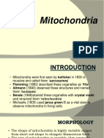 Mitochondria