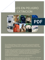 Animales en Peligro de Extincion