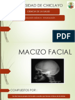 Macizo Facial