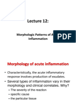 Morphologic Patterns of Acute Inflammation