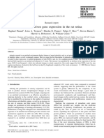 Plasticity Driven Gene Expression in Rat Retina