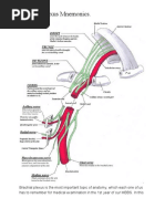 Brachial Plexus Mnemonics