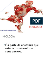 Aula 5 - S.Muscular