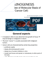 Carcinogenesis: (The Overview of Molecular Basis of Cancer Cell)